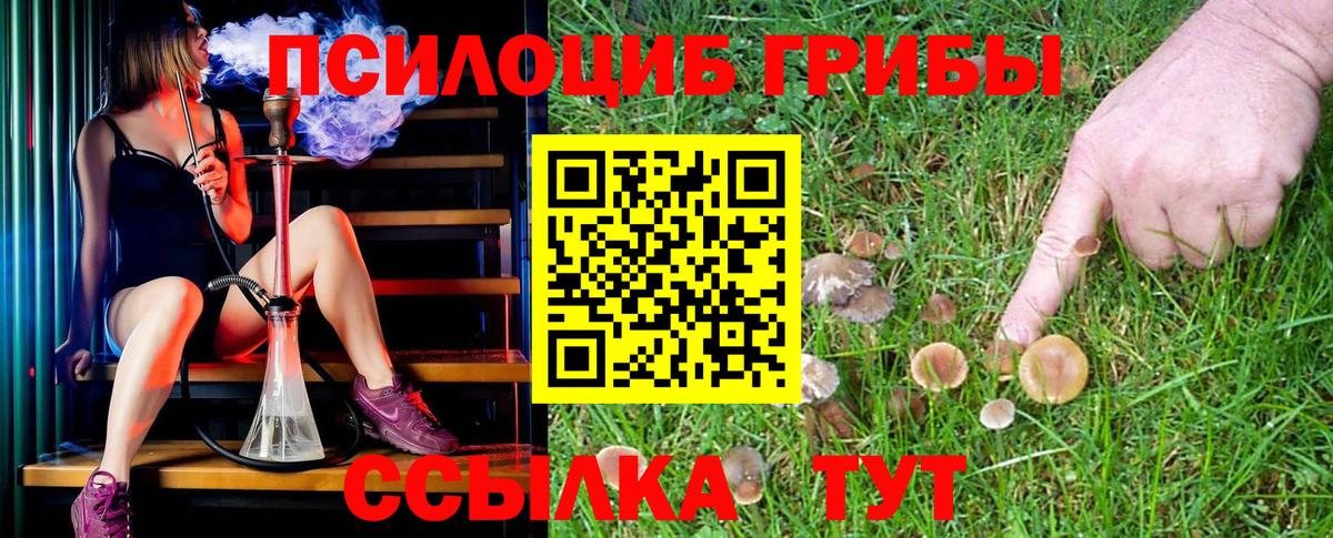Псилоцибиновые грибы MAGIC MUSHROOMS  Вход с VPN  Псилоцибиновые грибы Magic Shrooms  Химки 