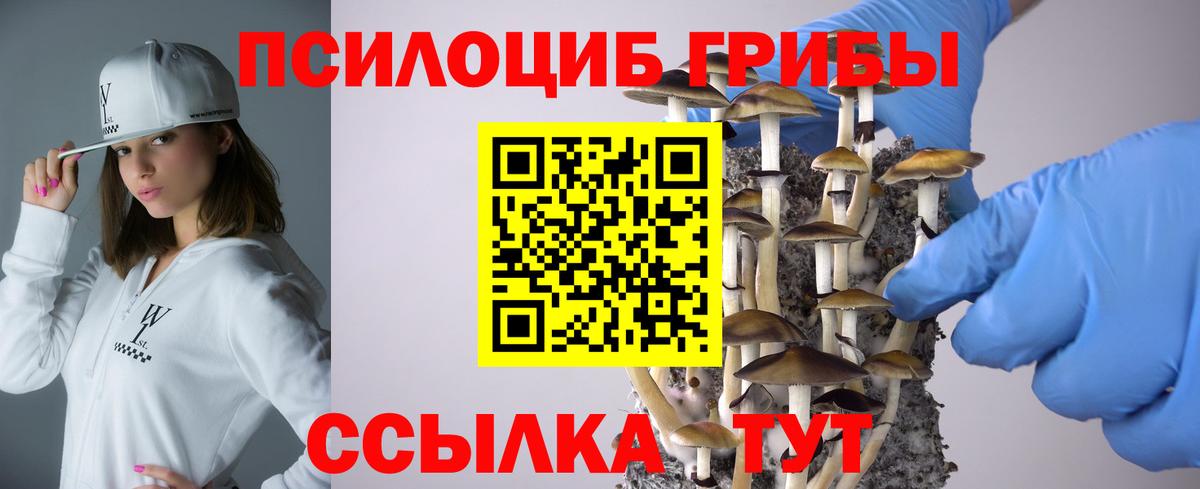 Галлюциногенные грибы Psilocybine cubensis Химки